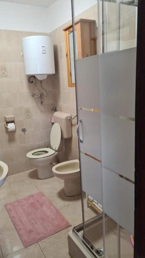 סטארי גראד Apartment Biondic מראה חיצוני תמונה